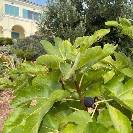 Nisi Villa Kassiopi